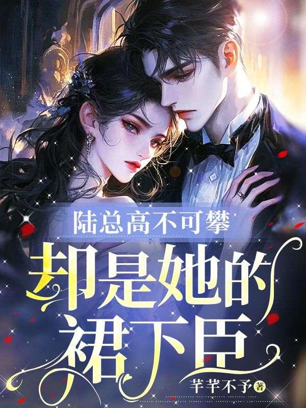 陆总gl