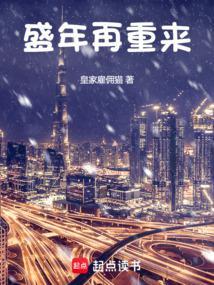 盛年再重来免费阅读