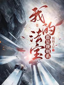 我的法宝都是规则系884章