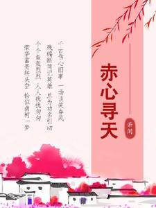 赤心寻天无错版笔趣阁