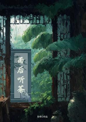 雨后听茶全文txt