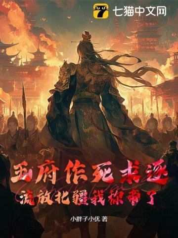 皇上带兵包围王府
