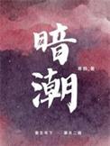 暗潮是双男主吗