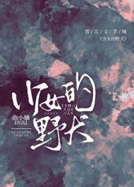 少女的野犬百度