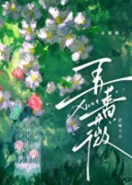 弄蔷薇TXT免费
