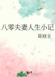 八零夫妻人生小记(完结)