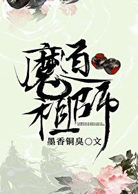 魔道祖师图片