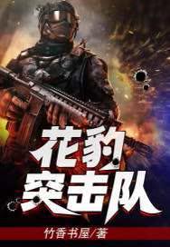 花豹突击队TXT