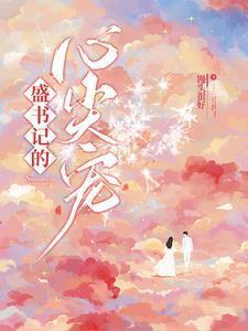 盛书记的心尖宠